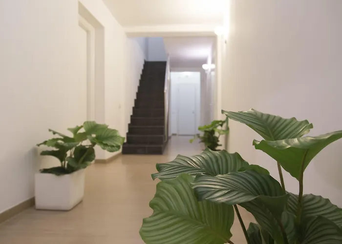 Suite Inn CataniaAlbergo